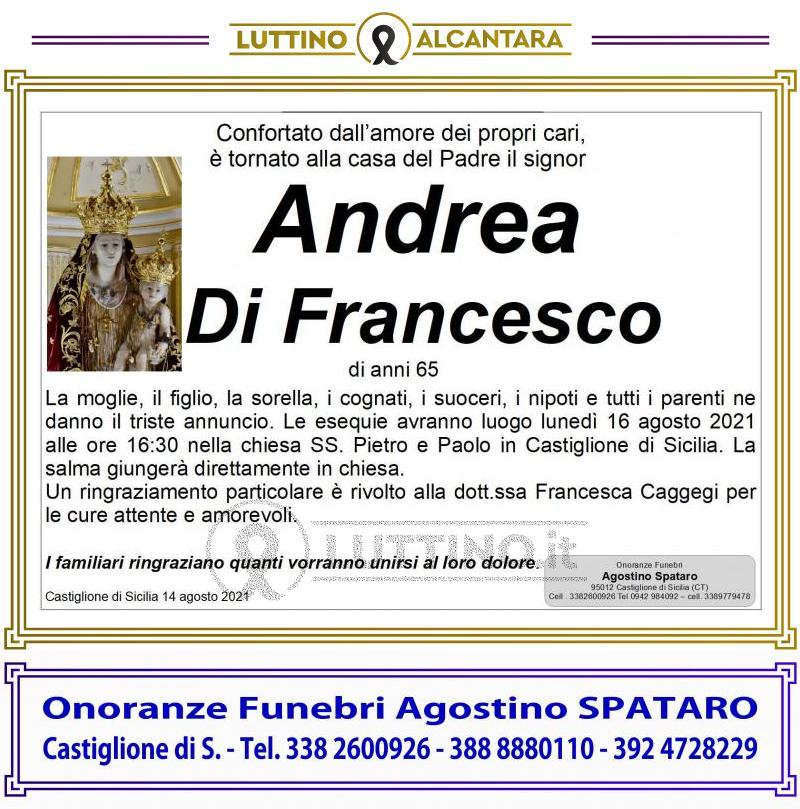 Andrea  Di Francesco 
